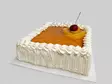 Mango-mandariinilevy 8-10h - LEVYKAKUT - 8641 - 21