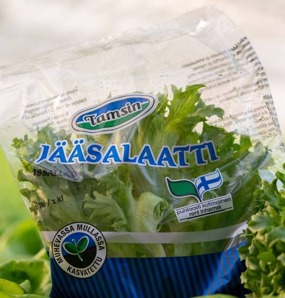 Jääsalaattipussi - RUOKA - RA23204 - 1